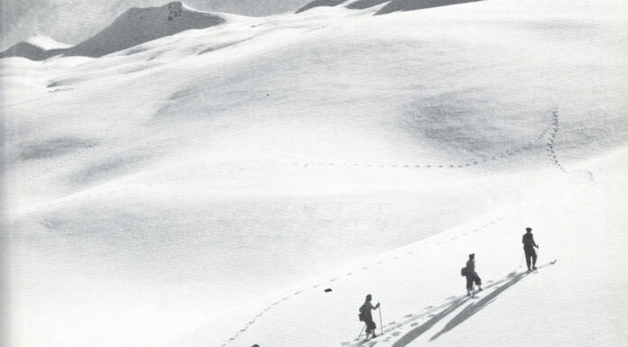 Альпийское наследие Bally